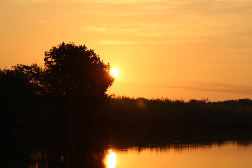 Reserva Natural de Usos Múltiples Monterrico